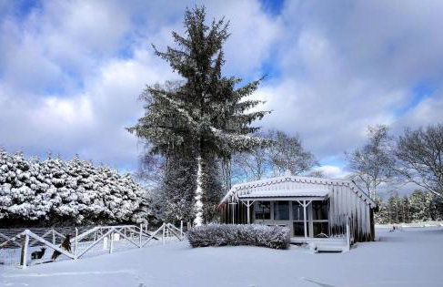 Chalets des Trois Hêtres - Foto 41