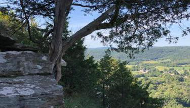 Triple Brick on Main - Photo 4