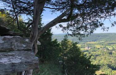 Triple Brick on Main - Photo 4