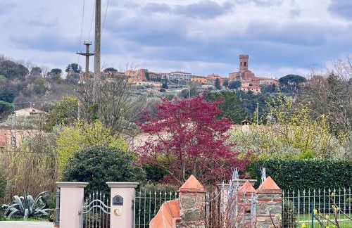 Villa Giulia a Montecarlo - Foto 24