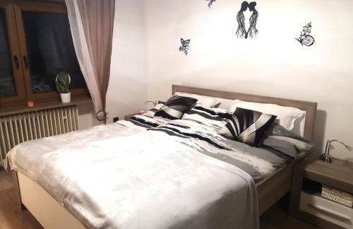 Idealer Startpunkt für Ausflüge und Wanderungen, 70qm, Stufenloser Zugang, Parkplatz an der Wohnung - Foto 10