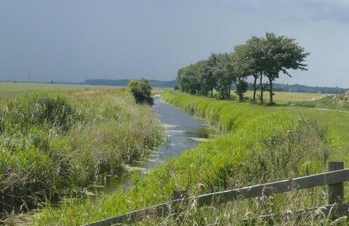 Spacious Cottage With Sauna Looking out on Astonishing Grasslands - Photo 82