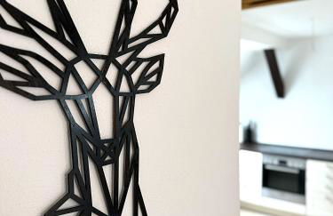 Natur-Apartment am Großen Arber Netflix WIFI - Foto 12