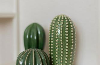 Estudio con encanto en Barcelona - Photo 4