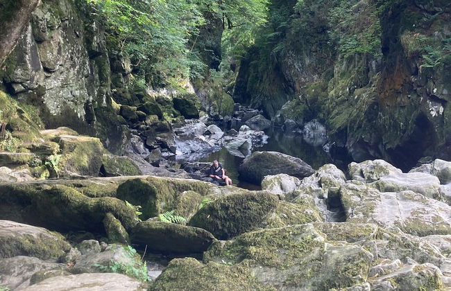 2bed Cabin w/ Parking Near Snowdonia National Park - Photo 30