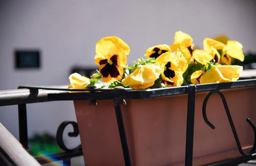 Casa vacanze vigna del Lago - Foto 17