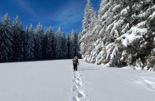 WEITBLICK "entspannen - wohlfühlen - aktiv erholen" - Foto 43