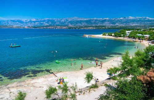 Marin Novigrad - Foto 24