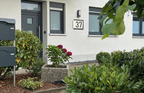 Arche Otto - Foto 10