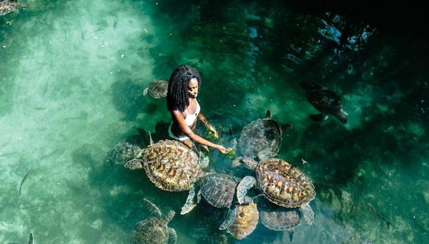 Nungwi Turtle Sanctuary Tour - Photo 2