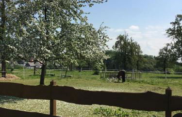 Am Grünenplatz 65 - Foto 12