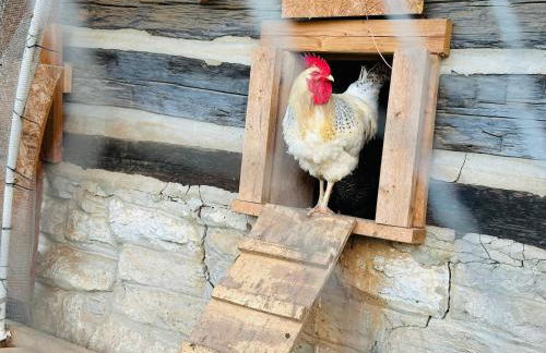 Crocketts Cabin - Foto 17