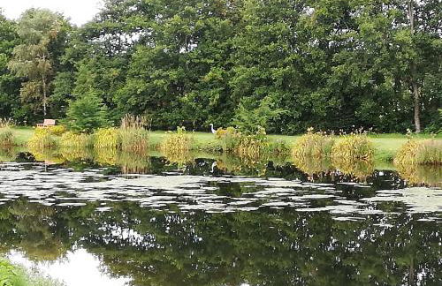 Brightwater Lodge - Photo 21