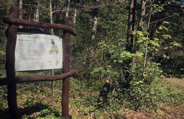 Apartamenty BIAŁA I - Foto 6