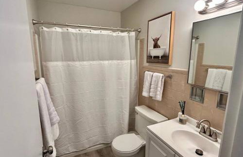 New updated Apt Half A Mile to Downtown Libertyville - Foto 11