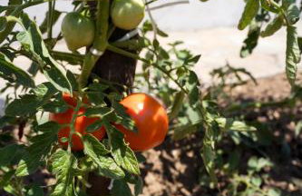 Hotel Agistro - Foto 11