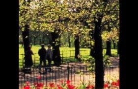 Grand in the Park - Foto 30