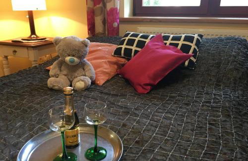 Agroturystyka Pod Podkową - Photo 43