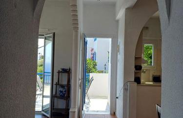 Aperanto House in Arnados, Tinos - Foto 37