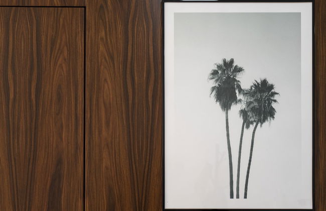 The Palm Tree Oasis - Foto 26