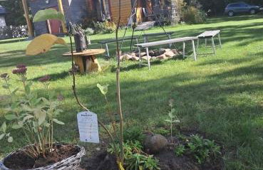 Chata Nova - Foto 36