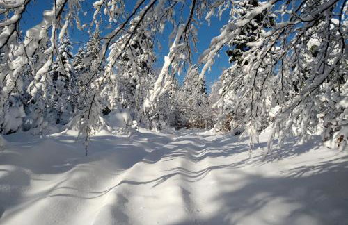 Domek Hobbita z jaskinią SPA - Osada Jaworzyny - Foto 28