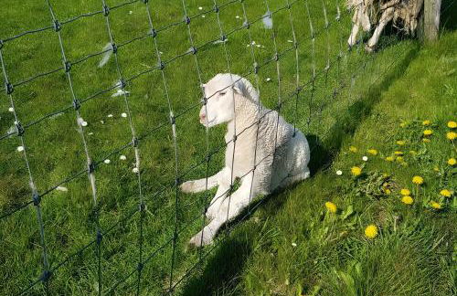 Ferienwohnungen Warnken - Foto 77