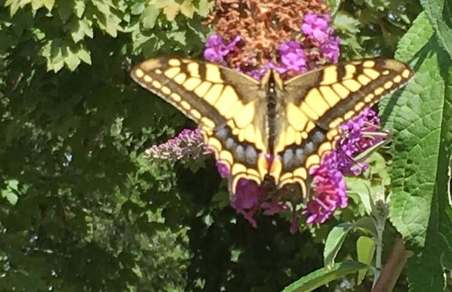 Peaceful Countryside Home - Foto 25