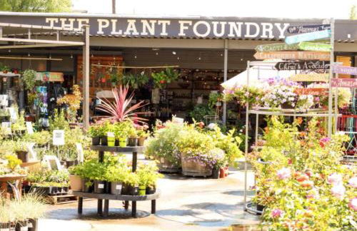 Smart Eclectic ART HOUSE near the beat - Foto 17