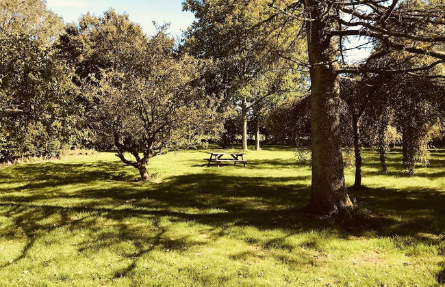 3 Bedroom Country Retreat - Dogs Welcome - Foto 19