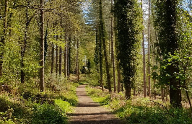 The Rock Self Catering Holiday Accommodation - Foto 20