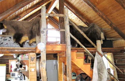 Grandpa's Cabin - Foto 21