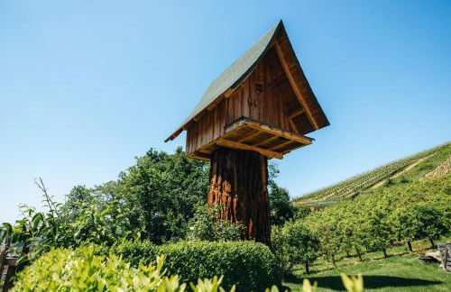 Ferienwohnung Baßler Schlossblick - Foto 25