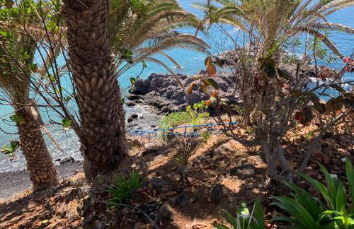 Alcalà Center A 5 minutos del paseo y playas - Photo 51