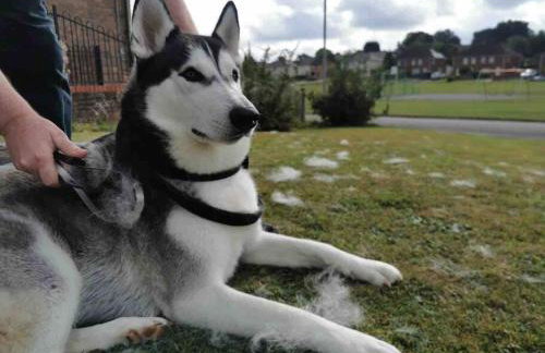 The Long Hall 2 bed ground floor annexed apartment - sleeps 6 - Foto 30