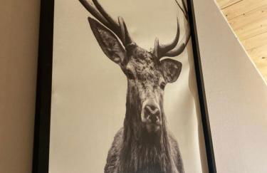 Overkamps - das Ferienhaus Odernheim - Foto 7