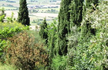 Agriturismo La Grotta - Foto 45