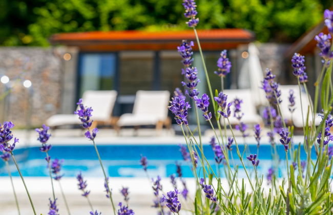 Magna Tilia - Foto 48