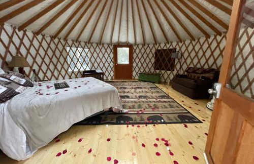 Alderbrook Yurt - Foto 9