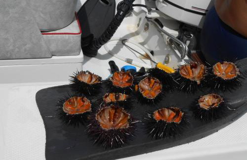 Villa Agapanthus - Foto 45