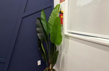 78 Tropical soak - Foto 53