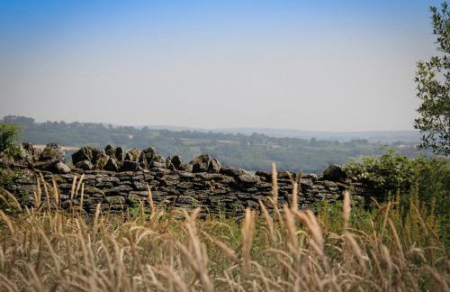 Llechwen Hall - Foto 11