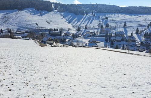 La Petite Retraite - Ein Idyll in Todtnauberg - Foto 41