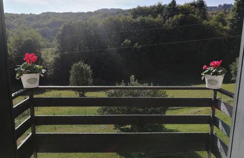 I tulipani - Foto 40