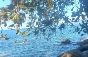 Recanto J&R - Foto 12