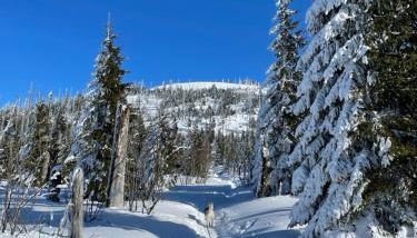 Wildkräuter Hexenhaus - Foto 2