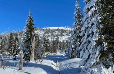 Wildkräuter Hexenhaus - Foto 2