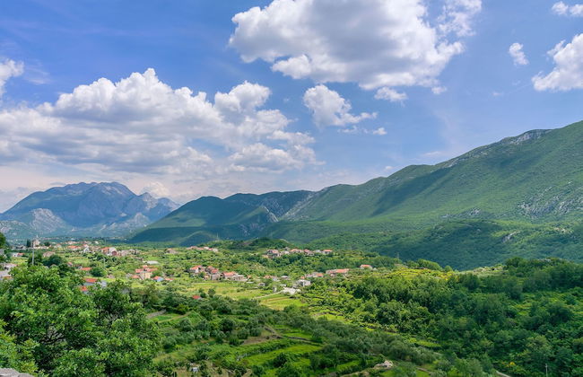 House Cattleya - Photo 32