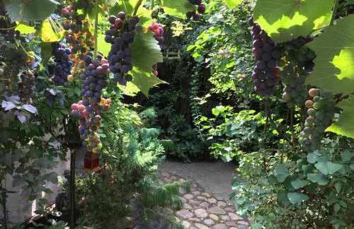 Apartamenty pod Wiciokrzewem - Foto 52