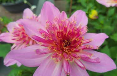 Erholung im Grünen und doch zentral - Foto 9